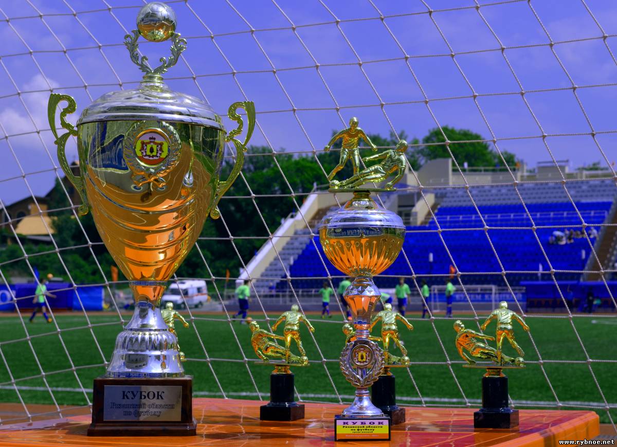 Юноши выиграли «Кубок Рязанской области по футболу-2012»