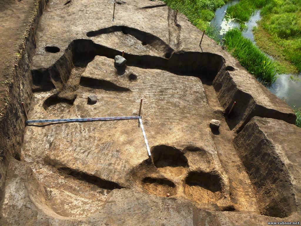 В Рыбновском районе нашли кости носорога, обитавшего около 12 тысяч лет назад