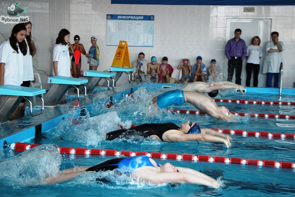 II этап открытого первенства по плаванию «Кубок звезды»