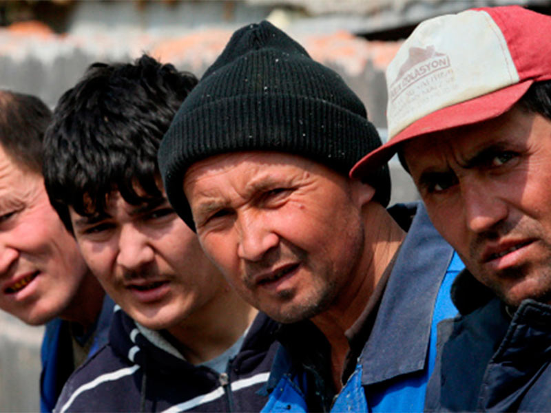 Прокуратура пресекла незаконное привлечение мигрантов к труду в Рыбновском районе