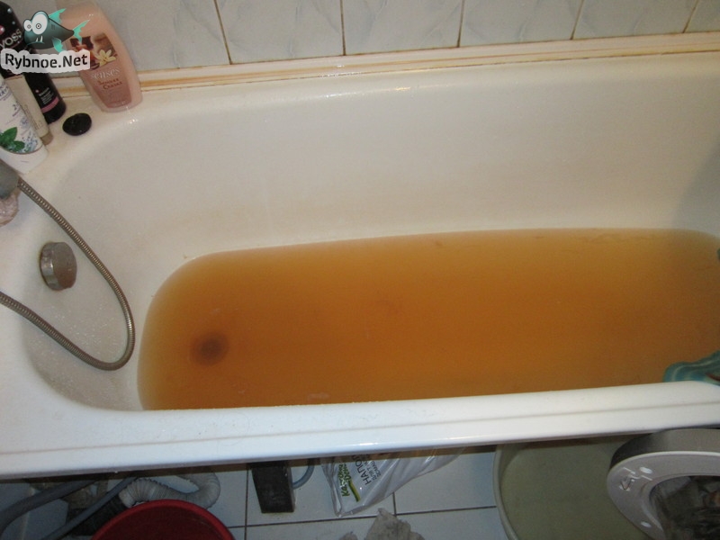 В Рыбном наблюдаются проблемы с качеством питьевой воды