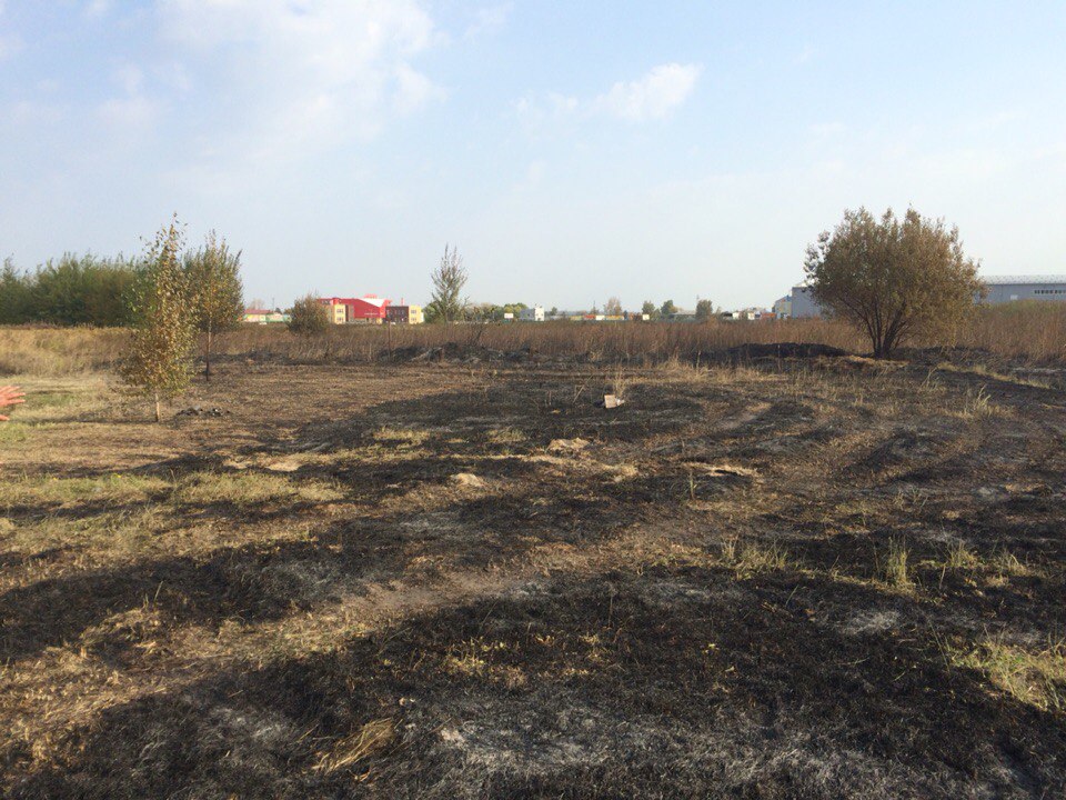 В Рязанской области на пожаре погиб мужчина