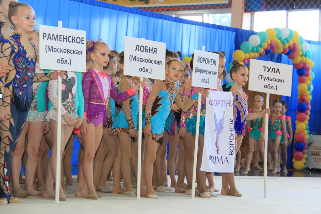 В Рыбном прошел межрегиональный турнир по эстетической гимнастике «Рязаночка – 2019»