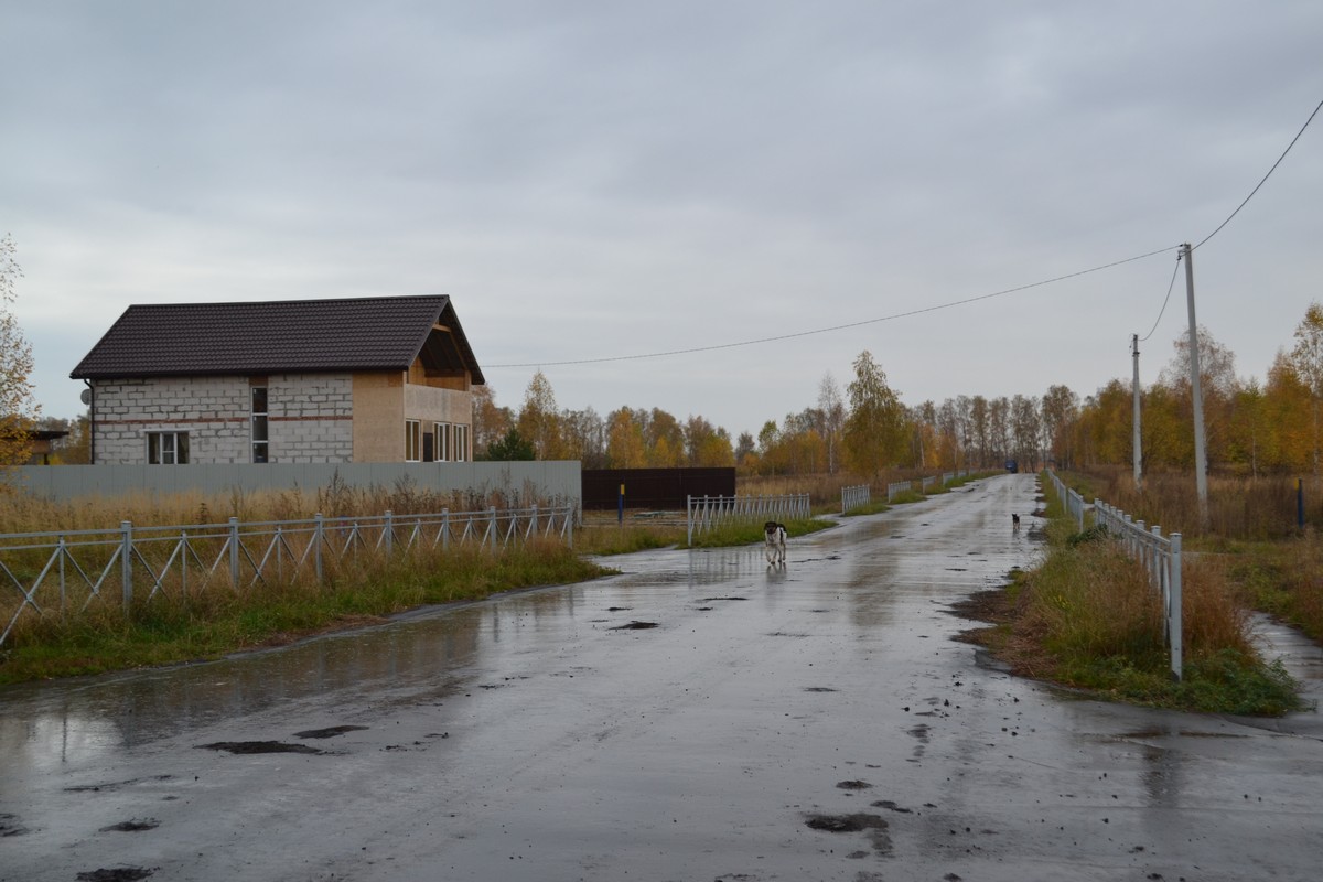 В Рыбновском районе строят дорогу для многодетных