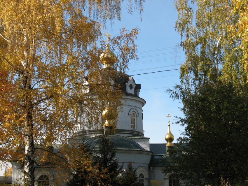 Церковь Космы и Дамиана. Летово Рыбновский район Рязанская область