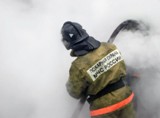 В д. Сидоровка 22 апреля сгорел ВАЗ-21041