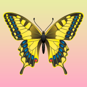 angelinatimoisna