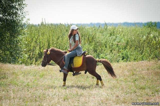 Девочка в джинсах и бейсболке на пони удивила и рассмешила посетителей «Битвы на р. Вожа 2012»