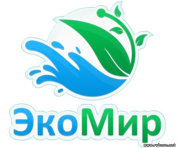 Бизнесменов из Рязанской области приглашают выиграть экологическую премию «ЭкоМир»