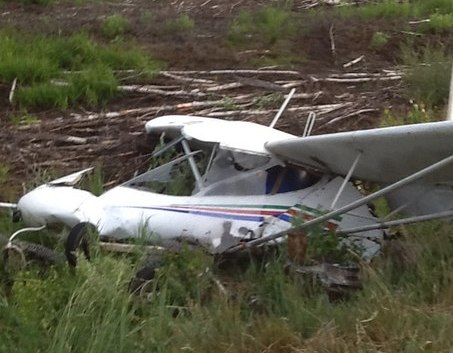В Рязанской области упал легкомоторный самолет на ЛЭП