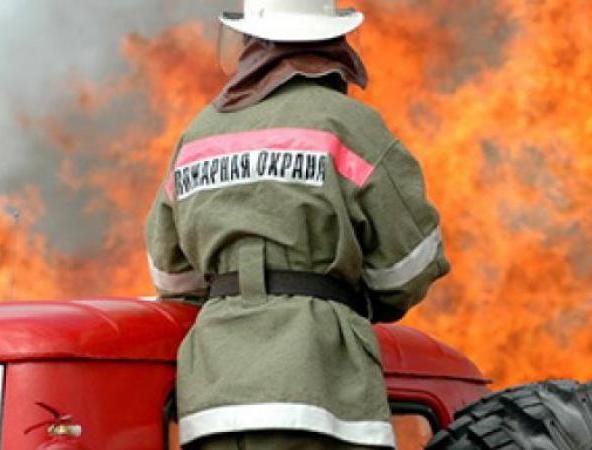 В Новоселках огнем были уничтожены дом, гараж и сарай