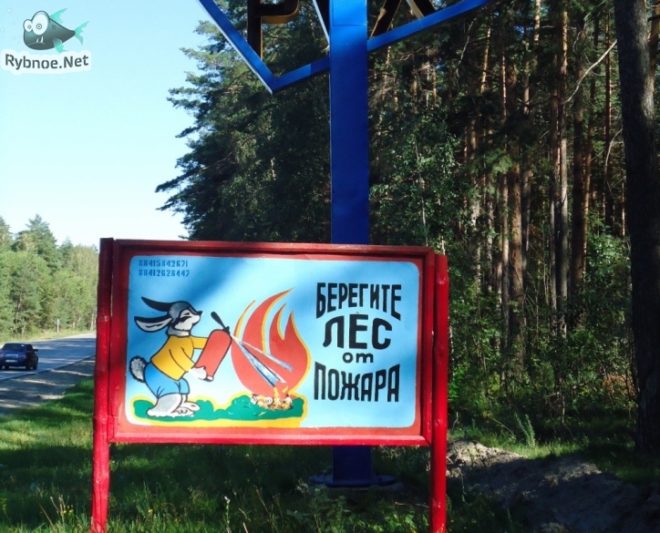 В лесах Рыбновского района ввели противопожарный режим