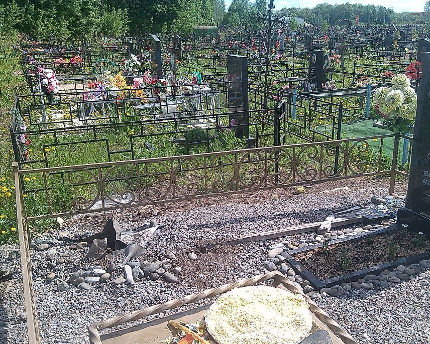 На горяйновском кладбище неизвестные воруют туи