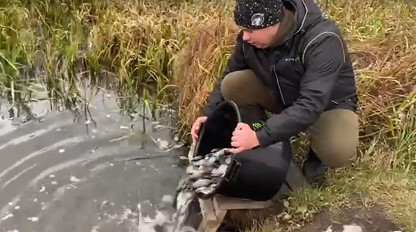 Рыбаки Рязани выпустили 2 тонны рыбы в водоемы Рязанской области. Видео