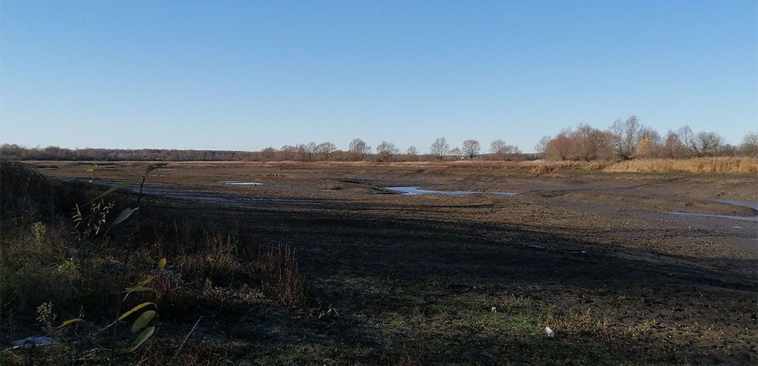 В Житово Рыбновского района исчез пруд. Выясняем