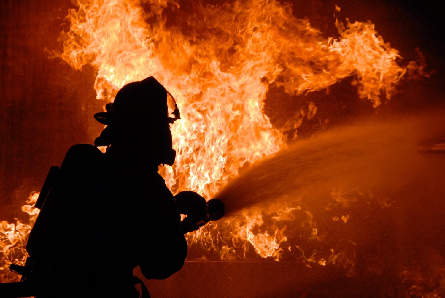 На пожаре в Ногино погиб 58-летний мужчина