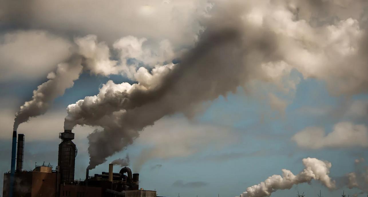 Загрязнение атмосферы животные