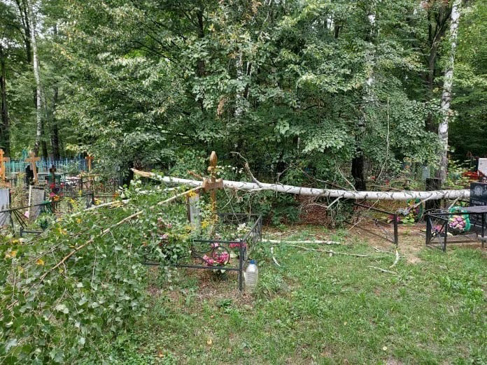 Упавшие деревья в селе Истобники повредили кладбище