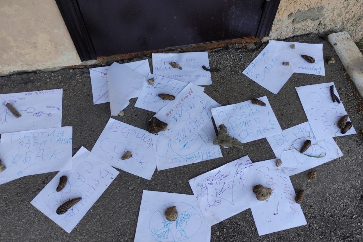 В деревне Баграмово дети выразили поддержку бездомным животным