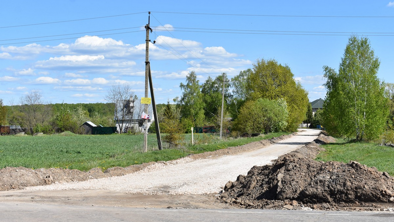 В деревне Шишкино проложат асфальтовую дорогу