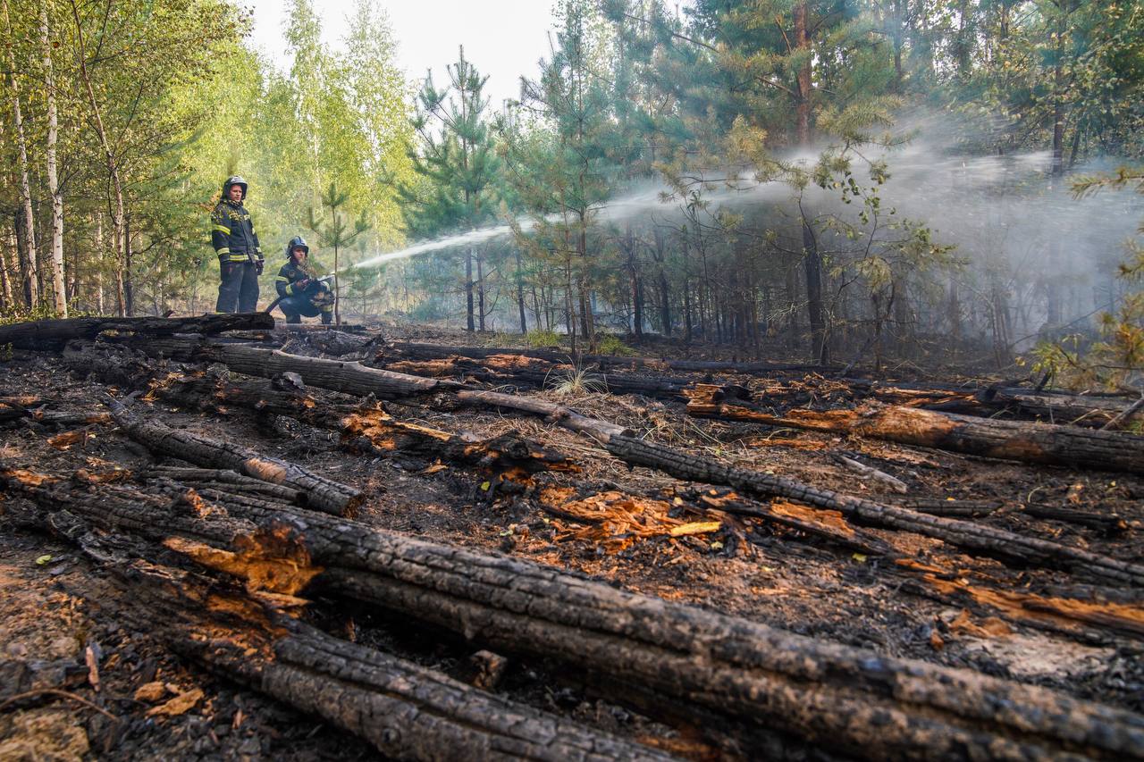 В Клепиковском районе при тушении лесных пожаров погиб человек
