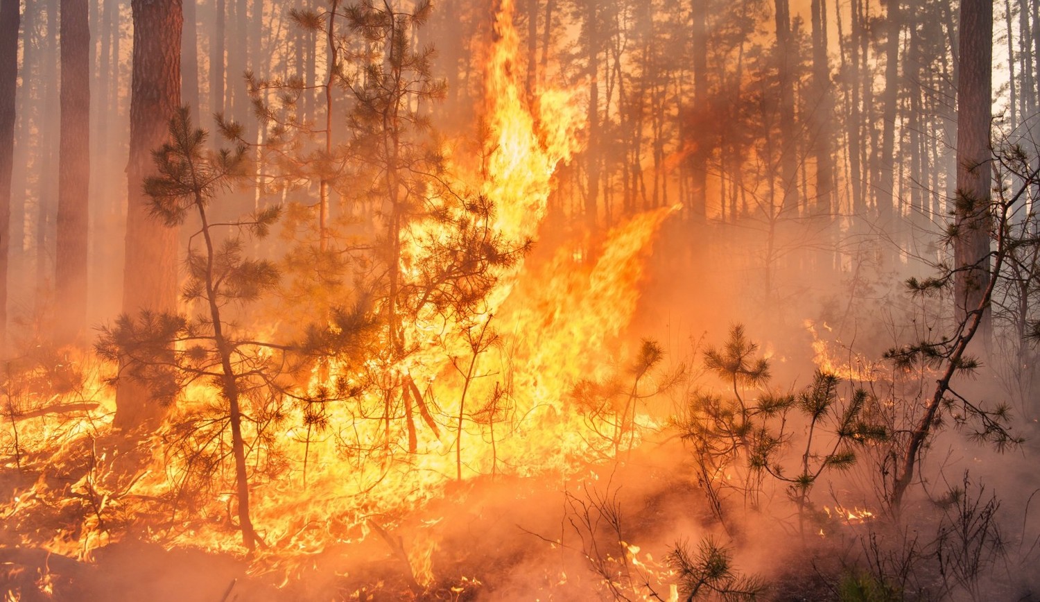 В Рязанской области начался пожароопасный сезон