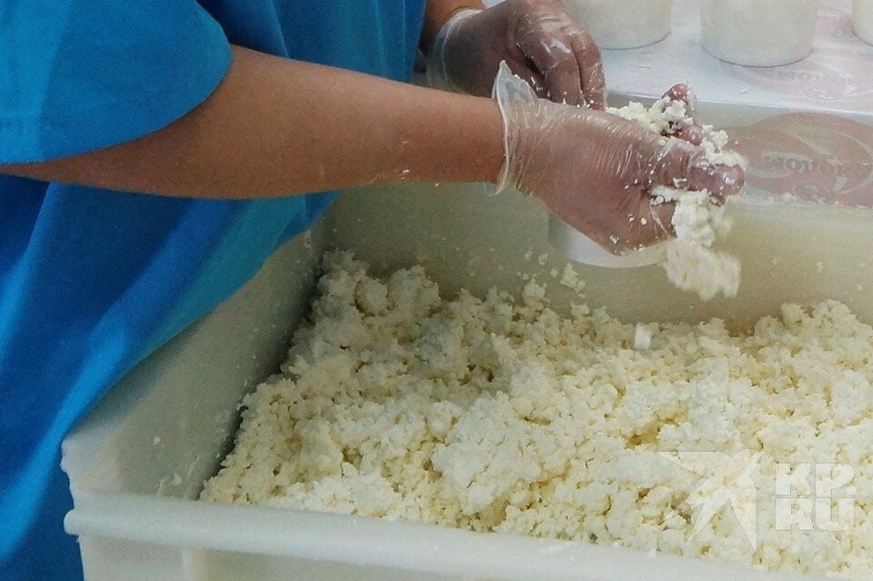 В Рыбновский районе утилизировали 250 кг молочной продукции
