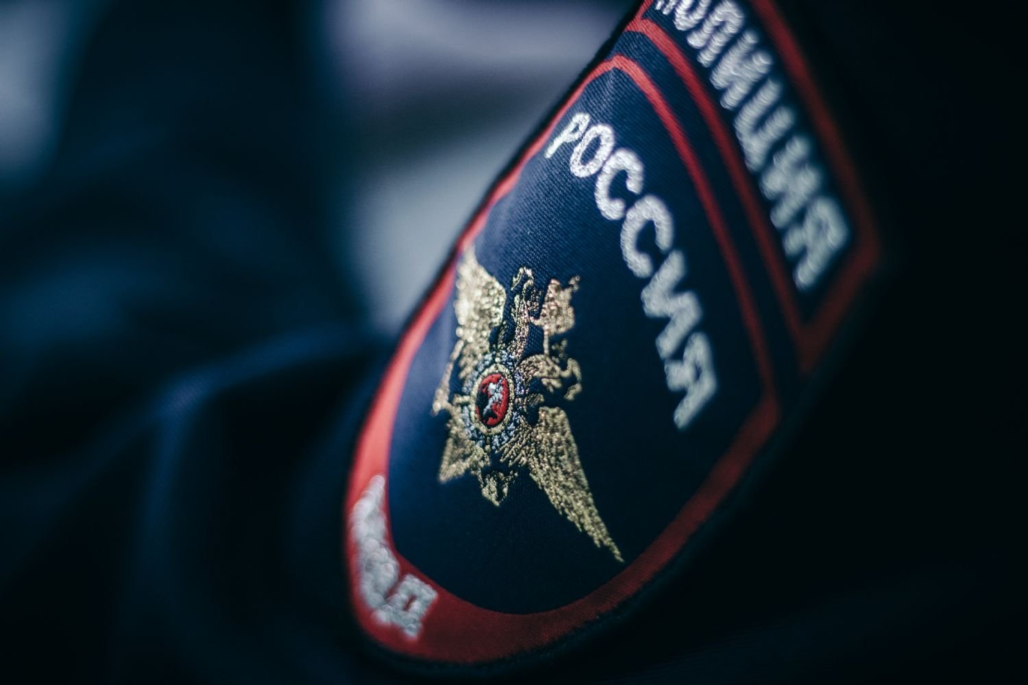 В Рыбновском районе полицейские пресекли преступление в сфере миграции