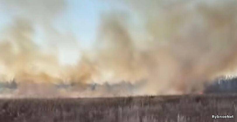 В Рыбновском районе пожар на поле. Видео В Рыбновском районе пожар на поле. Видео