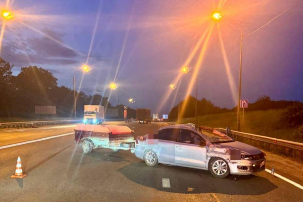 Подробности аварии со сбитием двух лосей