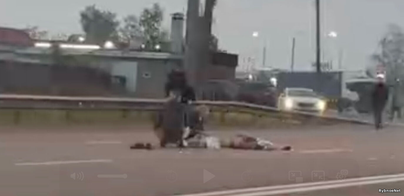 На трассе М5 в Рыбновском районе насмерть сбили человека. Видео