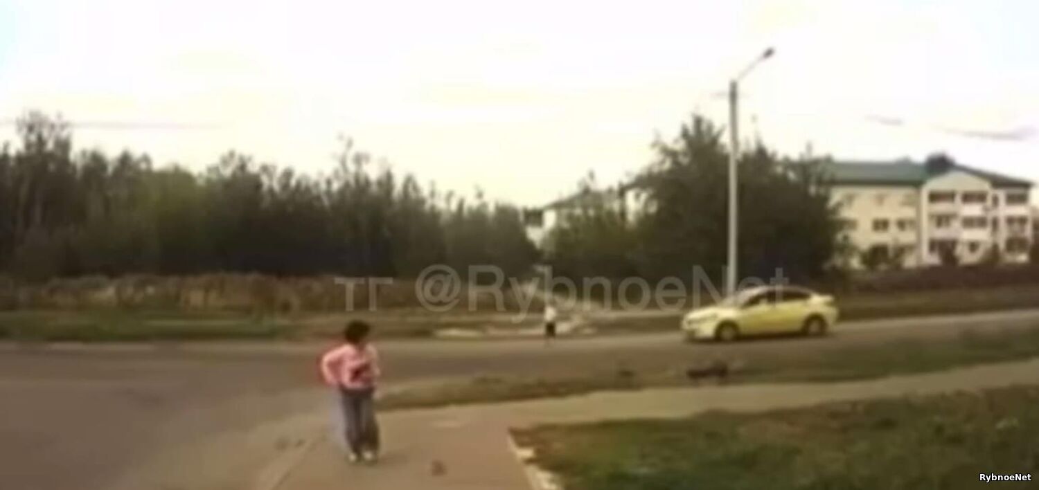 Момент сбития ребенка в Рыбном попал на видео