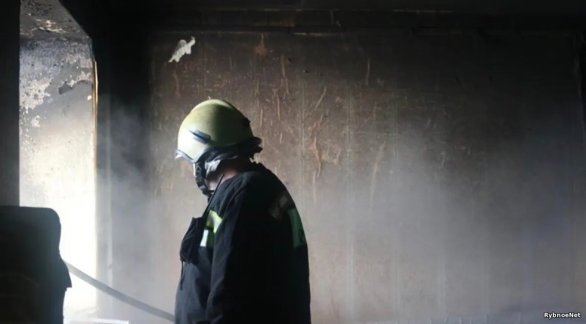 В Рыбном произошёл пожар: огнём повреждена хозяйственная постройка