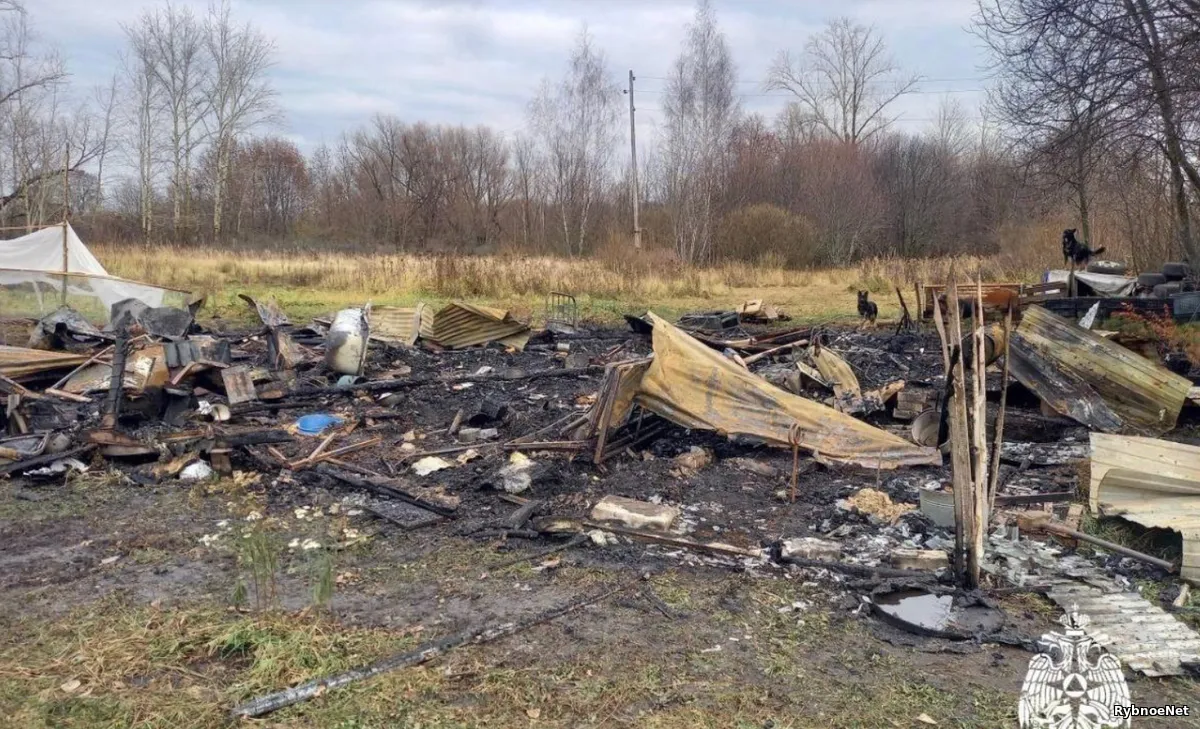 В Рыбновском районе за вечер сгорели два здания