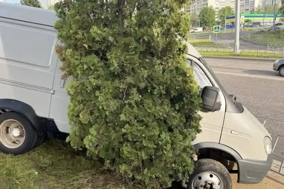 Жительницу Рыбного задержали после угона микроавтобуса в Воронеже