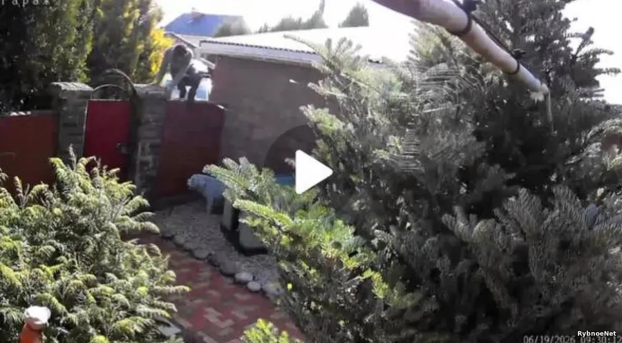 Жители Зеленинских Двориков сообщили о подозрительном мужчине, заходившем в дома. Видео