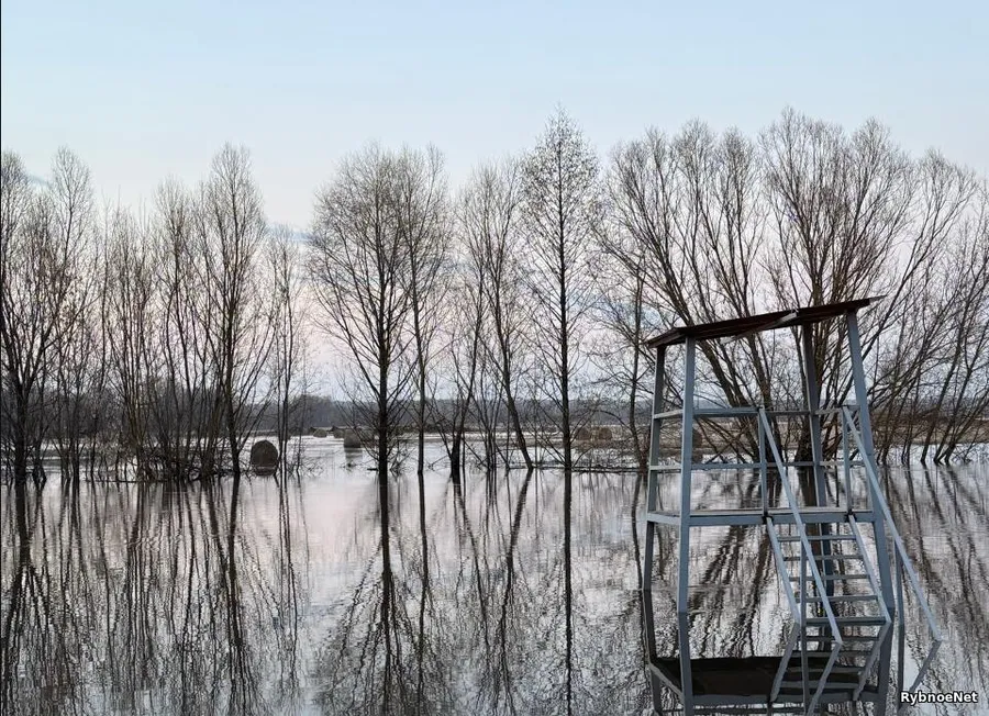 набережная реки вожа