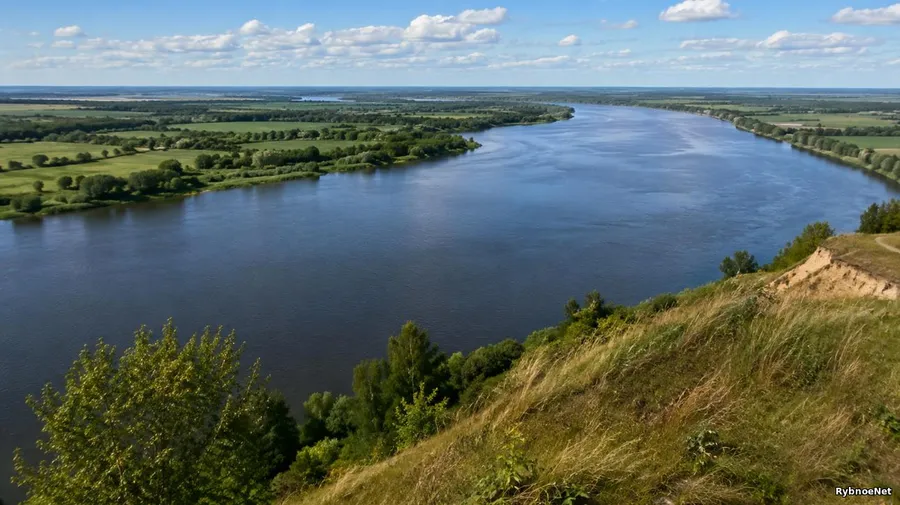 В Рыбновском районе утвердили новые правила застройки Есенинской Руси