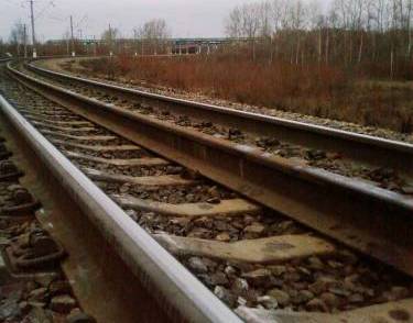 Травматизм на железной дороге только увеличился в этом году в Рыбновском районе